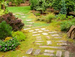 Asian-Style Garden Pathway
Garden Design
Calimesa, CA