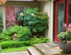 Asian Style Landscaped Entry
Garden Design
Calimesa, CA
