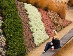 Asla, Los Angeles
Garden Design
Calimesa, CA