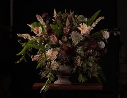 Asrai-Flowers
Garden Design
Calimesa, CA