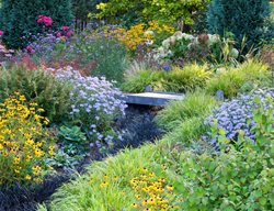 Aster, Perennial, Flowers, Grass, Bridge
Garden Design
Calimesa, CA