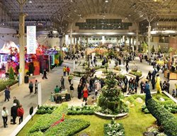 Attend A Flower & Garden Show
Garden Design
Calimesa, CA