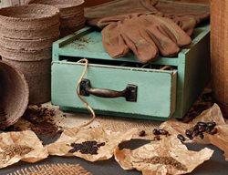 Audit Your Seed Inventory
Garden Design
Calimesa, CA