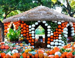 Autumn, Arboretum, Dallas
Garden Design
Calimesa, CA