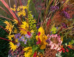 Autumn, Fall, Flower Arrangement
Digging Dog Nursery
