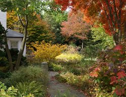 Autumn Garden, Fall Colors
Rick Darke LLC
Landenberg, PA