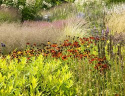 Avoid Cutting Back Perennials
Garden Design
Calimesa, CA