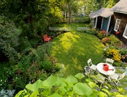 Backyard Landscape
Garden Design
Calimesa, CA