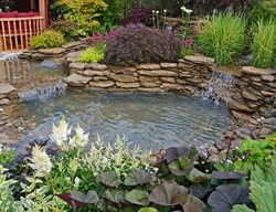 Backyard Pond With Waterfalls
Shutterstock.com
New York, NY