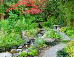 Backyard Stream And Waterfall, Sloped Landscaping
Garden Design
Calimesa, CA