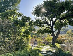 Backyard Sunrise With Tree
Garden Design
Calimesa, CA