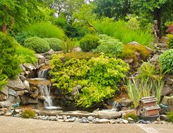 Backyard Waterfall, Landscaped Hillside
Garden Design
Calimesa, CA