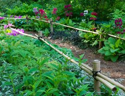 Bamboo Fence, Garden Edging, Asian Garden
Garden Design
Calimesa, CA