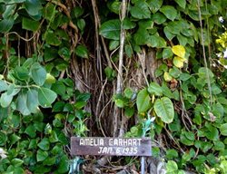 Banyan Drive Main
Garden Design
Calimesa, CA