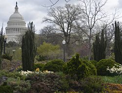 Bartholdi Park With The Capitol Building In The Background
Garden Design
Calimesa, CA