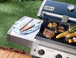 Bbq Grill, Weber
Ace Hardware
