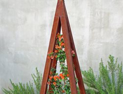 Bee Bungalow, Corten
TerraTrellis
Los Angeles, CA