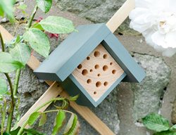 Bee House, Bee Hotel, Beekeeping
Wuddl
