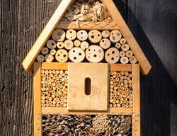 Bee House, Bee Hotel, Insect House
Shutterstock.com
New York, NY