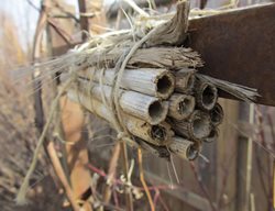 Bee House
Monarch Gardens
Lincoln, NE