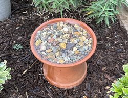 Bee Water Dish
Garden Design
Calimesa, CA