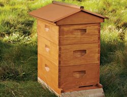 Beehive Kit
Garden Design
Calimesa, CA