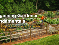 Beginning Gardener Fundamentals Course
JoeGardener
