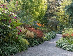 Bellevue Botanical Garden Walk
Garden Design
Calimesa, CA