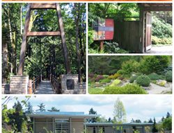 Bellevue Collage
Garden Design
Calimesa, CA