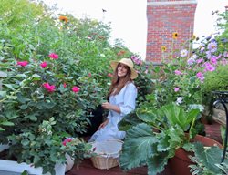 Bethany Bey Chicago Gardener
Garden Design
Calimesa, CA