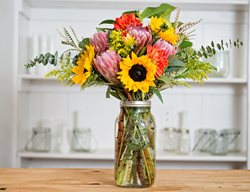 Big Bunch Bouquet
Kendall Farms
Fallbrook, CA