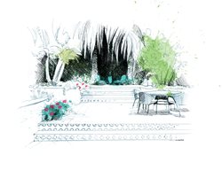 Big Palms Drawing
David Despau
