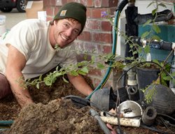 Billy Krimmel
Garden Design
Calimesa, CA