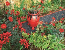‘bishop Of Llandaff’ Dahlias And Red Lilies
Garden Design
Calimesa, CA