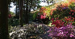 Bishop's Garden And Monastery Garden 
Garden Design
Calimesa, CA