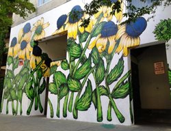 Black-Eyed-Susan-Mural
Garden Design
Calimesa, CA