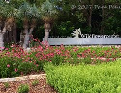 Bloggers Fling, Austin
Garden Design
Calimesa, CA