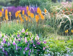 Blooms
Garden Design
Calimesa, CA