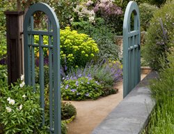 Blue Garden Gate
Garden Design
Calimesa, CA