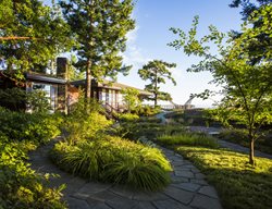 Bluestone Path, Understory Plants
Rich Haag Associates
Seattle, WA