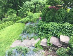 Bluestone Steps Down Hillside
Garden Design
Calimesa, CA