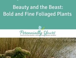 Bold And Fine Foliage Course
Perennially Yours
PA