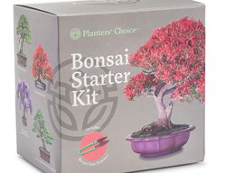Bonsai Kit, Bonsai Tree
Planters' Choice
