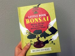 Book, Combine With Usefull Tips, History, Bonsai Trees
Garden Design
Calimesa, CA