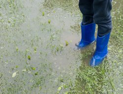 Boots In Flooded Garden
Shutterstock.com
New York, NY