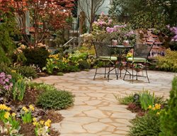 Boston Flower Show, Boston Garden Show
Garden Design
Calimesa, CA