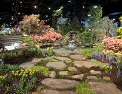 Boston Flower Show, Garden Show Display
Garden Design
Calimesa, CA