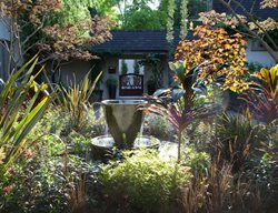 Botanic Garden
Garden Design
Calimesa, CA