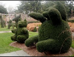 Botanic Superlatives 2
Garden Design
Calimesa, CA