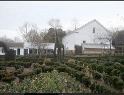 Botanic Superlatives
Garden Design
Calimesa, CA